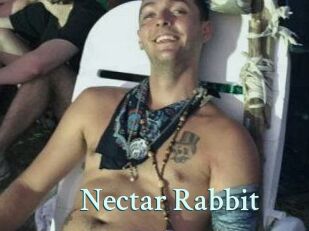 Nectar_Rabbit