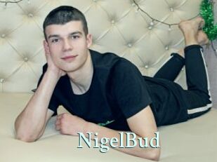 NigelBud