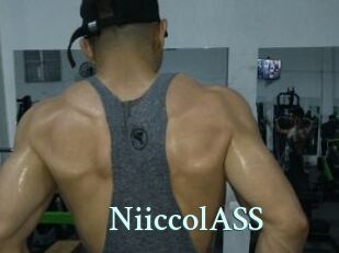 NiiccolASS