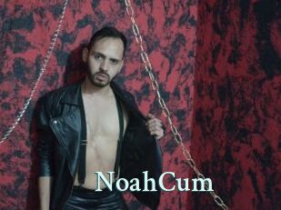 NoahCum