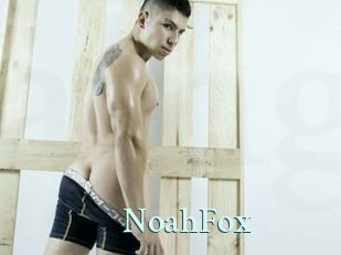 NoahFox Ambiance Gay