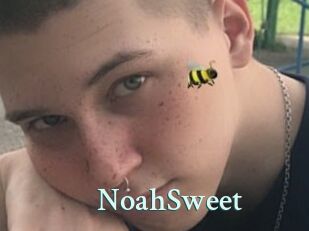 NoahSweet