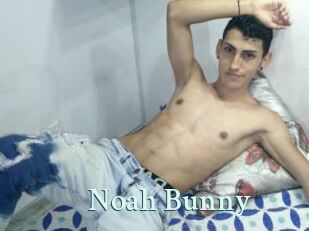 Noah_Bunny