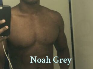 Noah_Grey
