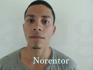 Noren_tor