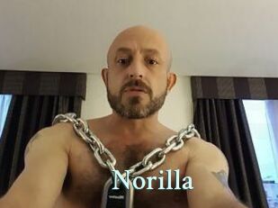 Norilla
