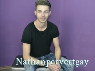 Nathanpervertgay