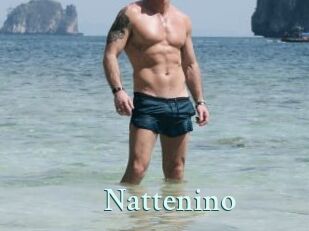 Nattenino