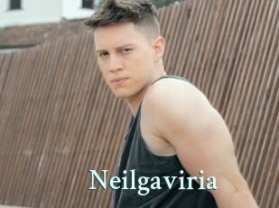 Neilgaviria