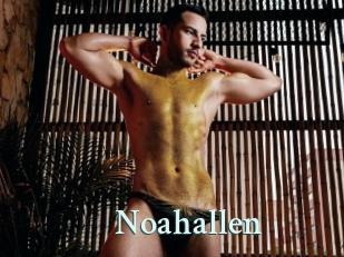 Noahallen
