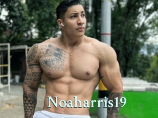 Noaharris19