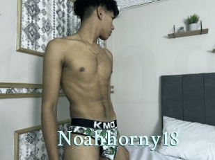 Noahhorny18