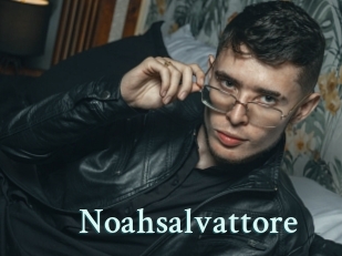 Noahsalvattore