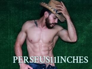 PERSEUS11INCHES