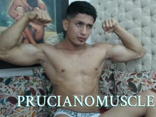 PRUCIANOMUSCLE