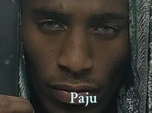 Paju