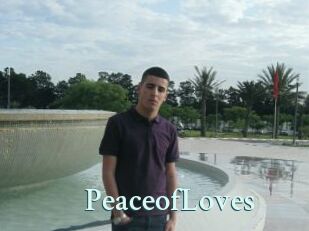 PeaceofLoves
