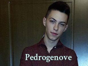 Pedrogenove Ambiance Gay