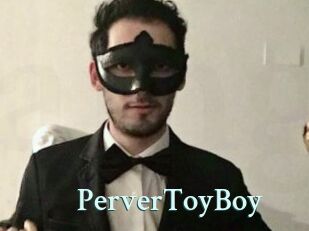PerverToyBoy