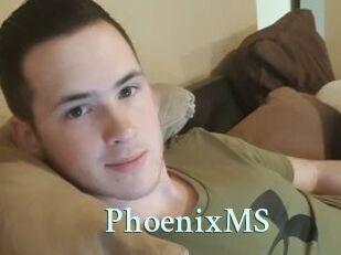PhoenixMS