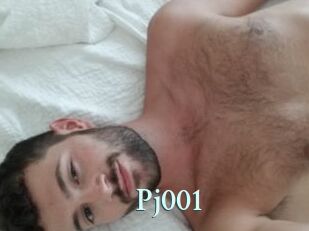 Pj001