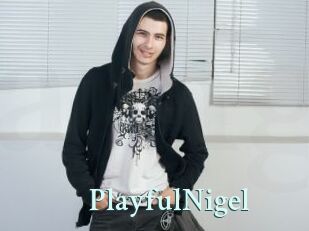 PlayfulNigel