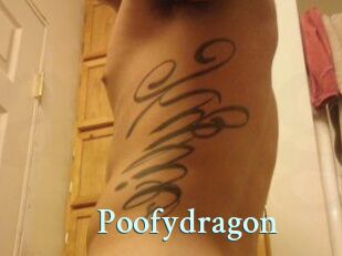 Poofydragon