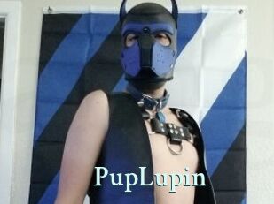 PupLupin Ambiance Gay