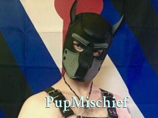 PupMischief