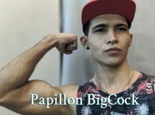 Papillon_BigCock