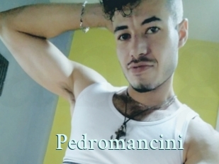 Pedromancini