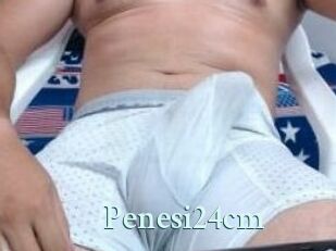 Penesi24cm