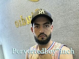 Pervertedboy7inch
