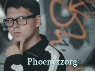 Phoenixzorg