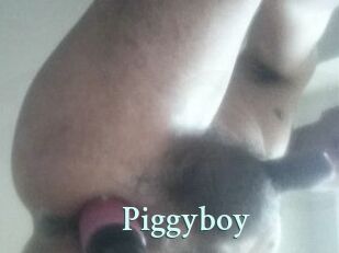 Piggyboy