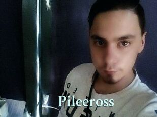Pileeross
