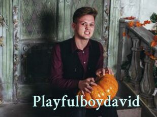 Playfulboydavid