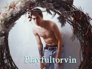 Playfultorvin