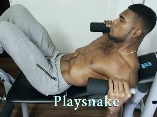 Playsnake