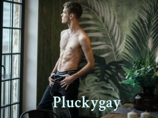 Pluckygay