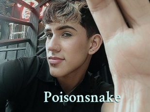 Poisonsnake