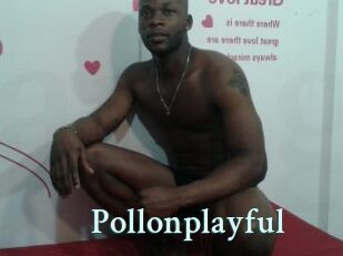 Pollonplayful