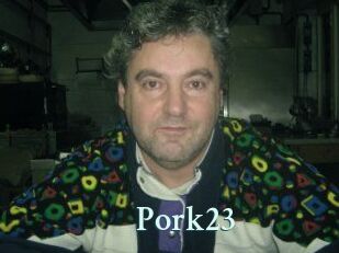 Pork23