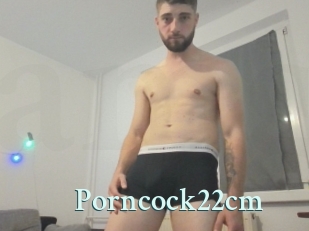 Porncock22cm