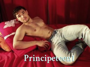 Principeteen1