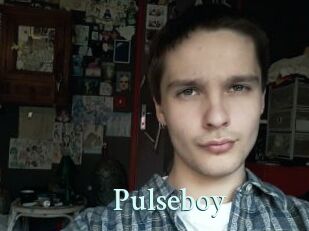 Pulseboy