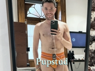 Pupstud