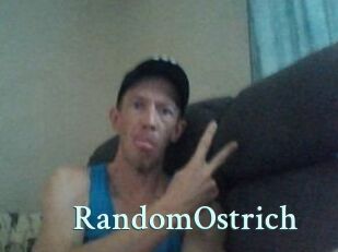 RandomOstrich
