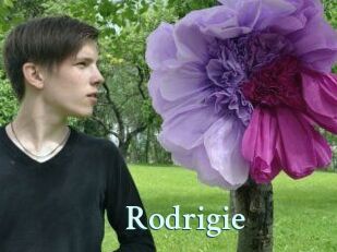 Rodrigie