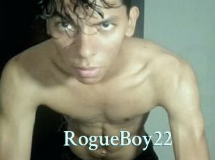 RogueBoy22